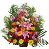 Ĳҵ