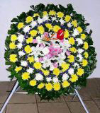 Ĳҵ