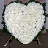 Ĳҵ
