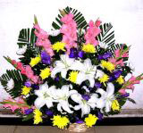 Ĳҵ